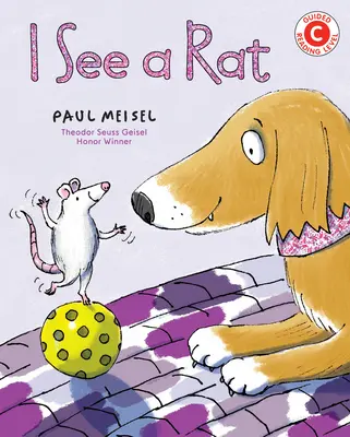 Vidím krysu - I See a Rat