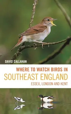 Kde pozorovat ptáky v jihovýchodní Anglii: Essex, Londýn a Kent - Where to Watch Birds in Southeast England: Essex, London and Kent