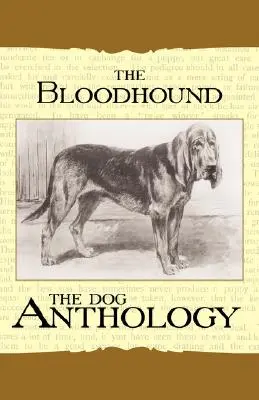 Krvavý pes - Psí antologie - The Bloodhound - A Dog Anthology
