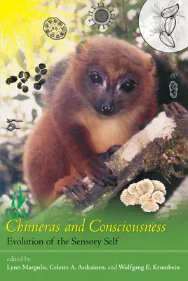 Chiméry a vědomí: Vývoj smyslového já - Chimeras and Consciousness: Evolution of the Sensory Self