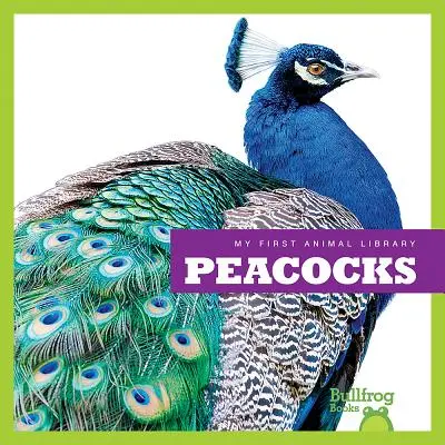 Pávi - Peacocks