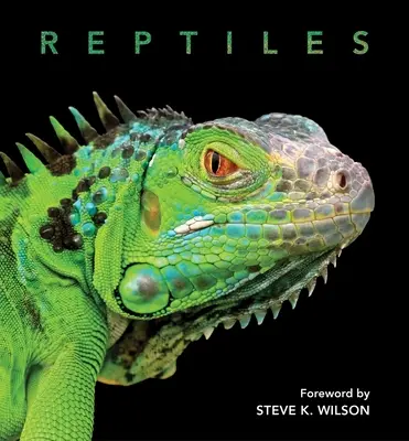Plazi - Reptiles
