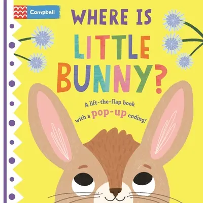 Kde je králíček?: Zvedací knížka s vyskakovacím koncem! - Where Is Little Bunny?: The Lift-The-Flap Book with a Pop-Up Ending!