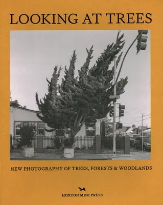 Pohled na stromy - Looking At Trees