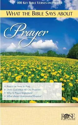 Co říká Bible o modlitbě - What the Bible Says about Prayer
