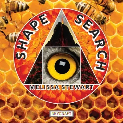 Hledání tvaru - Shape Search