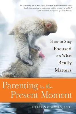 Rodičovství v přítomném okamžiku: Jak se soustředit na to, na čem skutečně záleží? - Parenting in the Present Moment: How to Stay Focused on What Really Matters