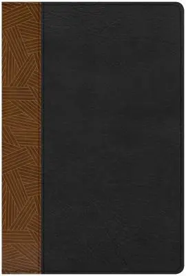 CSB Rainbow Study Bible, černá/popálená kůže s dotykem - CSB Rainbow Study Bible, Black/Tan Leathertouch