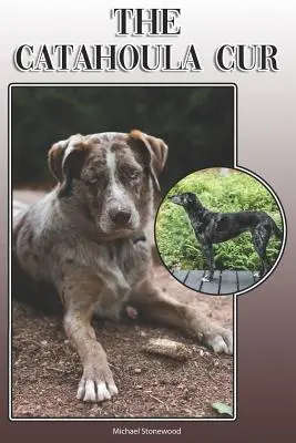 Catahoula Cur: Catahula: Kompletní a vyčerpávající příručka pro majitele: Koupě, vlastnictví, zdraví, péče, výcvik, poslušnost, pochopení a porozumění - The Catahoula Cur: A Complete and Comprehensive Owners Guide To: Buying, Owning, Health, Grooming, Training, Obedience, Understanding and