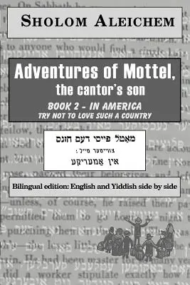 V Americe - In America