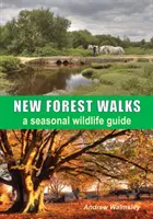 Procházky Novým lesem - New Forest Walks