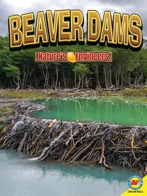 Bobří hráze - Beaver Dams