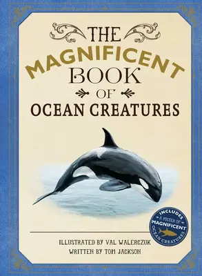 Velkolepá kniha oceánských tvorů - The Magnificent Book of Ocean Creatures