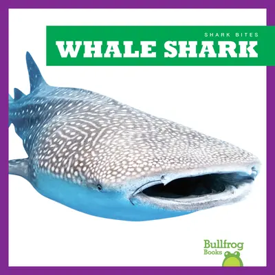 Žralok velrybí - Whale Shark