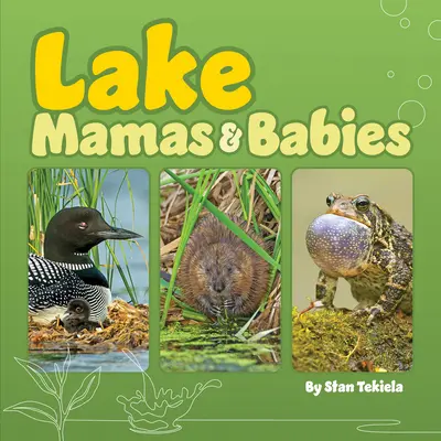 Jezerní maminky a děti - Lake Mamas & Babies